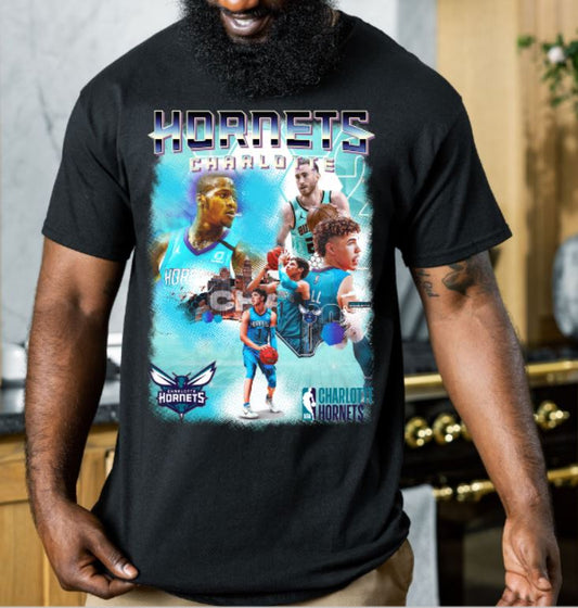 Hornets Basketball (DTF) Transfer